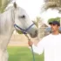 Hassan Raza