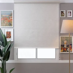 Boone Blackout Office Blinds