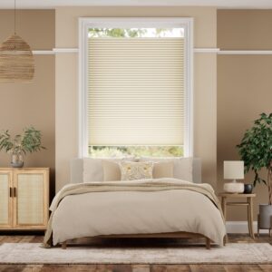 Cream Duplex Blinds